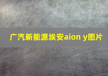 广汽新能源埃安aion y图片